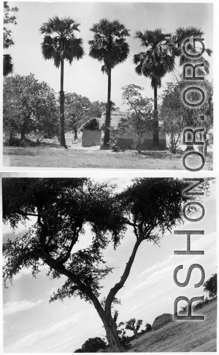 Countryside and small thatched buildings, possibly homes.  Scenes in India witnessed by American GIs during WWII. For many Americans of that era, with their limited experience traveling, the everyday sights and sounds overseas were new, intriguing, and photo worthy.