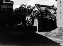 Scenes from China during WWII--Village across the fields, village corner, and canal.