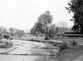A village and flooded rice paddy in Yunnan province, China. During WWII.