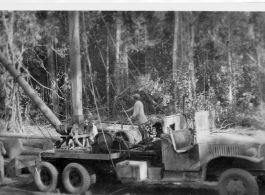 797th Engineer Forestry Company in Burma, loading sections for milling for bridge building along the Burma Road.  During WWII.