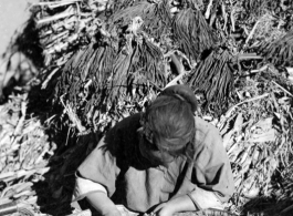 Local people in China, probably in Yunnan province: A woman picking through grain by hand.  From the collection of Wozniak, combat photographer for the 491st Bomb Squadron, in the CBI.
