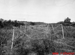Barb wire grid on posts in China, Burma, or India. During WWII.