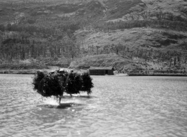 People carry branches across a stretch of very shallow water at Yangkai, Yunnan province, China.