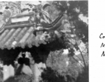 Confucian Temple. Nanjing, November 1945.