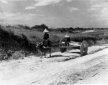 An ox pulls a large wooden-wheel cart at Liuzhou during WWII.