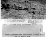 From: Public Relations Office Fourteenth Air Force Code 07041430/B Release On Rcpt Cleared Goldberg USFCT  -FIRST PICTURES FROM REOCCUPIED LIUCHOW AREA-  Valley of the Dead Fourteenth Air Force Headquarters, In China--  Here in the Valley of the Dead, southwest of Liuchow, fighters of the Fourteenth Air Force caught a cavalry column headed towards Liuchow. Japanese did not have time to bury their dead and the remains of horses and horsemen lay scattered throughout the valley.