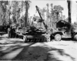 GIs load cut lumber at saw mill in Burma for transport to sites of bridge building.  During WWII.  797th Engineer Forestry Company.