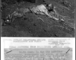 Southwest of Liuchow, fighters of the Fourteenth Air Force caught a cavalry column headed towards Liuchow following the Japanese retreat after Ichigo. The Japanese did not have time to bury their dead and the remains of horses and horsemen lay scattered throughout the valley.
