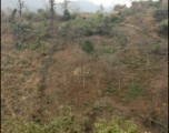 Images from January 13, 2008 search for an MIA site in Tian'e county, Guangxi province.  Carrol D. Gregory and another American were lost at a site called "Tungloa" on February 7, 1945, and we sought out this site.