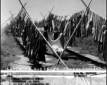 Chinese workers at an American base hang out the base laundry to dry in the sun, during WWII.  August 3, 1944